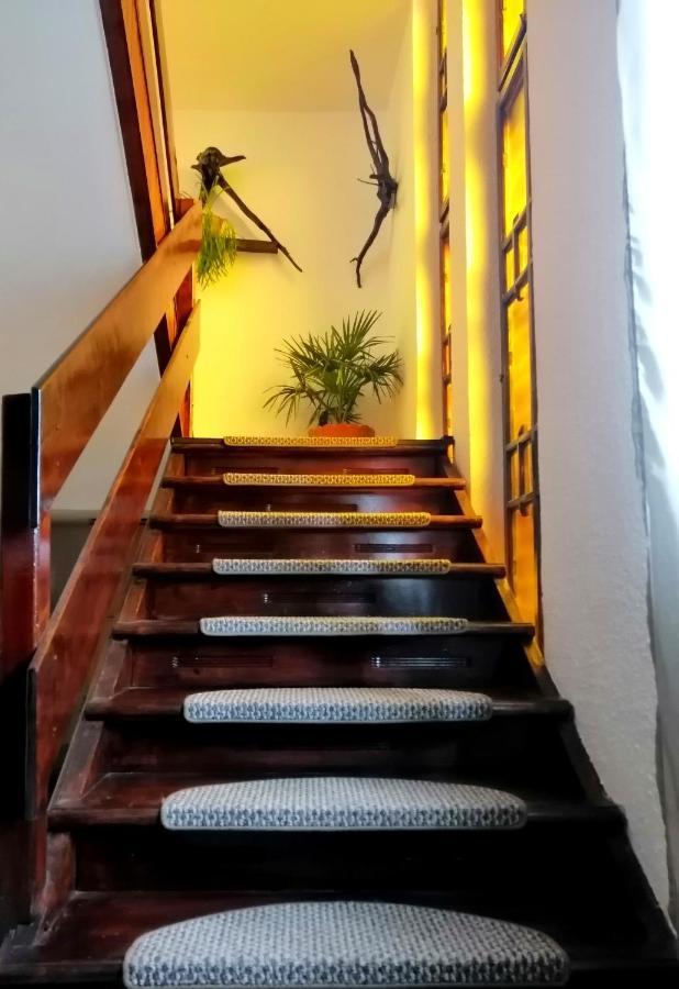 Вилла Apartament Sarco Ватра-Дорней Экстерьер фото